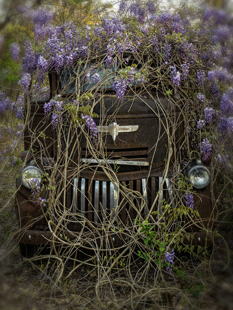 truck_wisteria