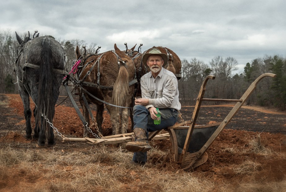 wayne hussey_mules plowing_02