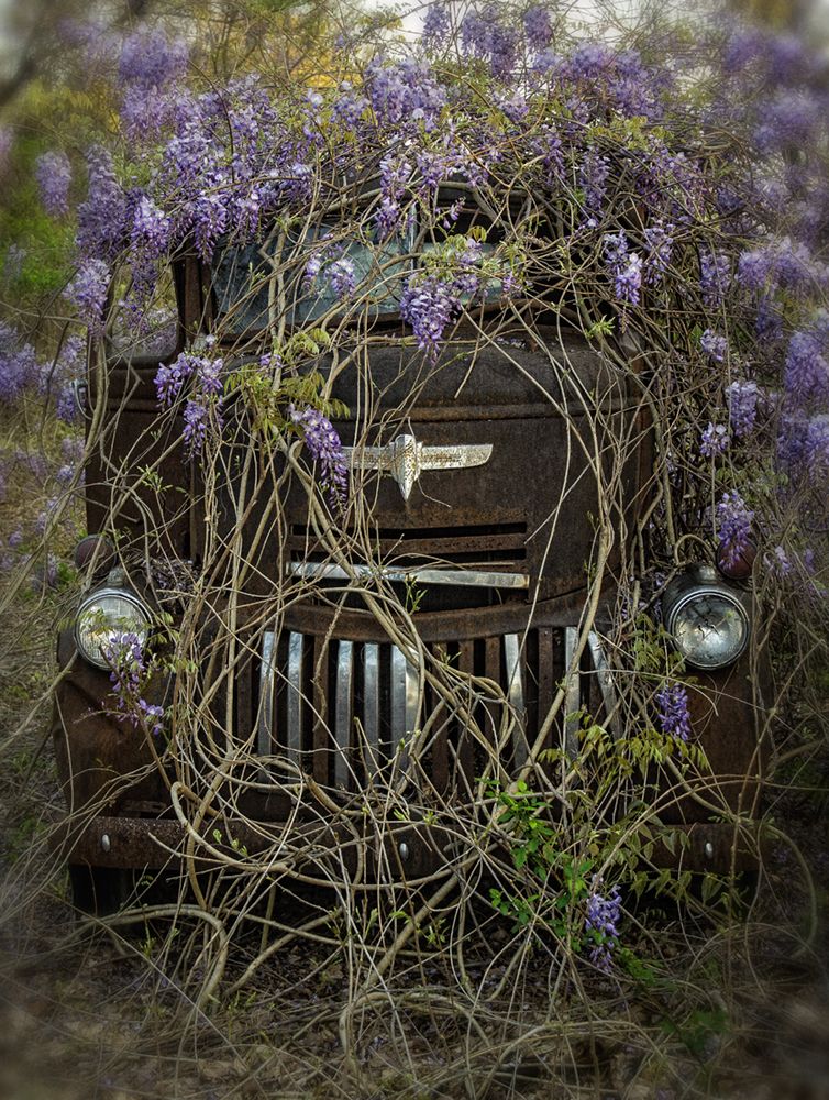 truck_wisteria