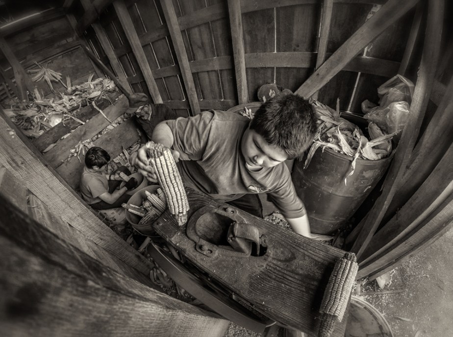 gary mac_shelling corn_04