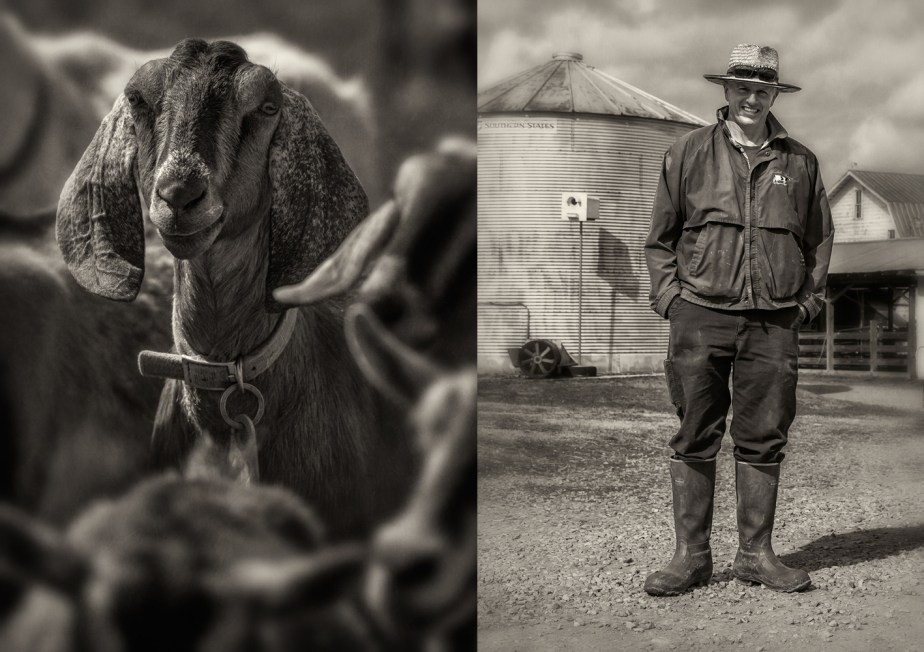 neil lindley_2017_group_02