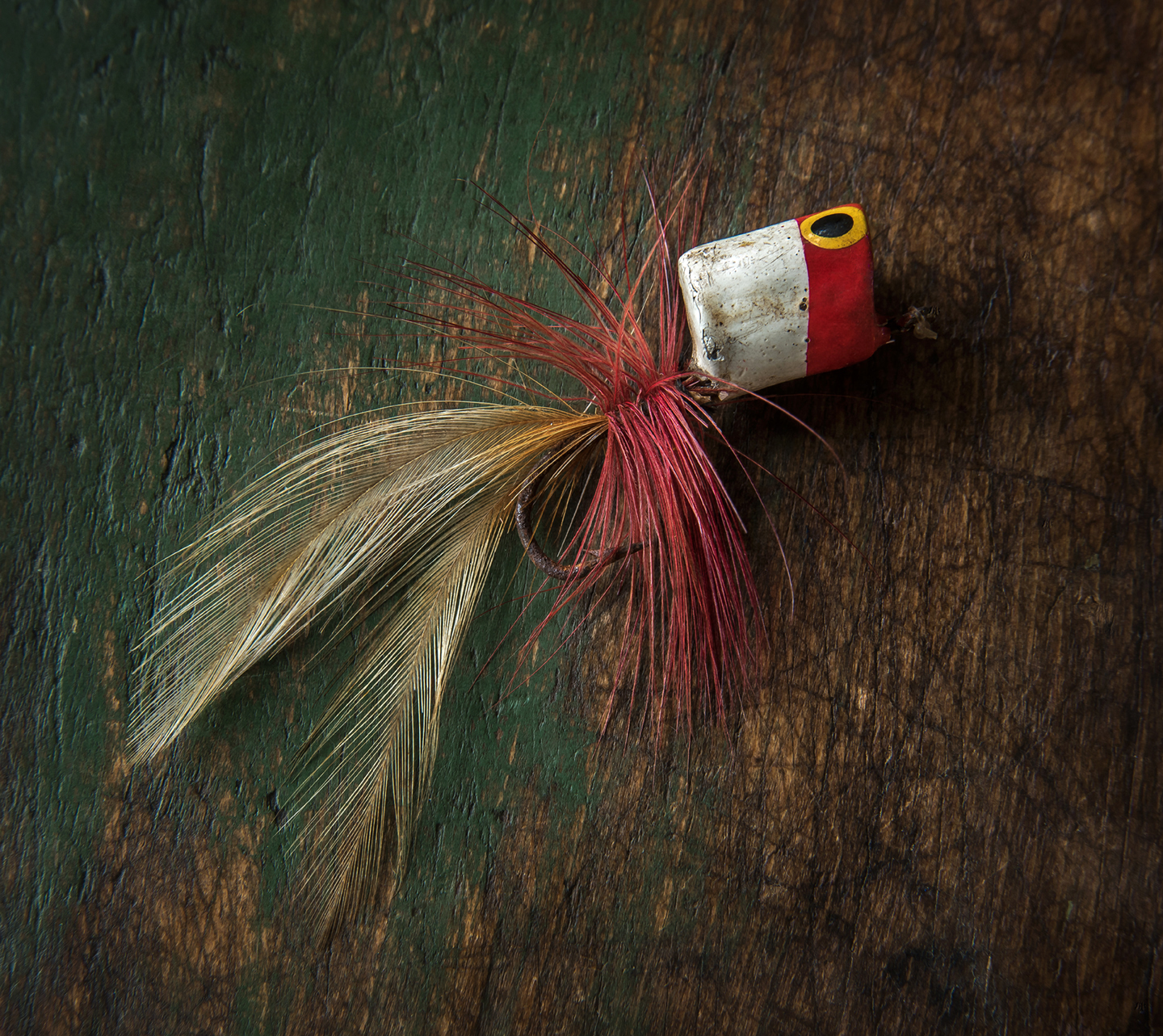 fishing lure_popper