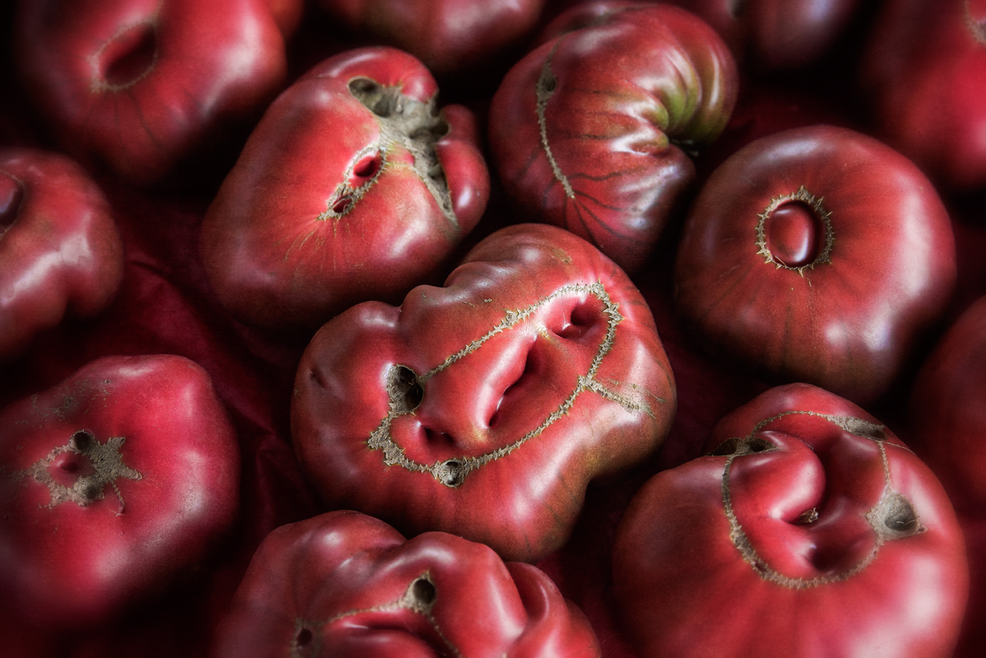 heirloom tomatos_2017_horiz