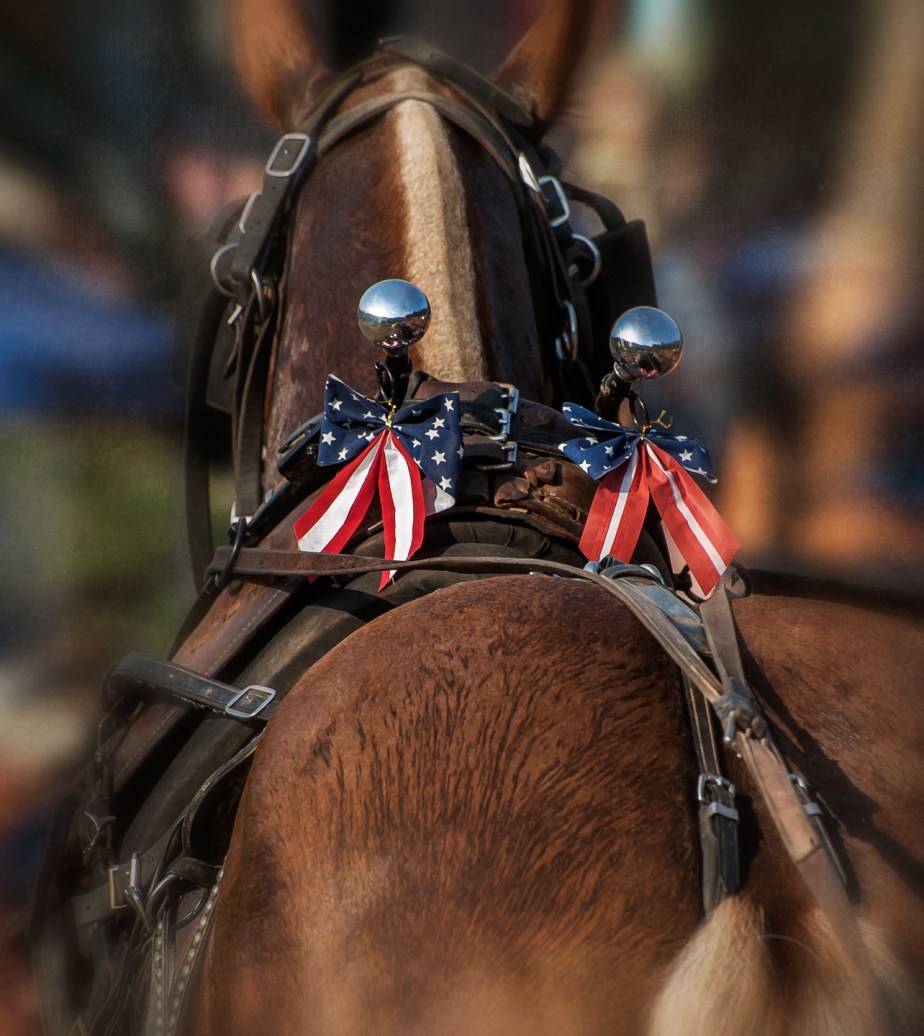 july 4_horsepull_denton