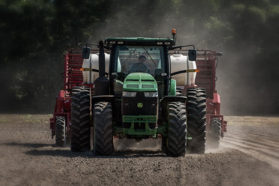 miscanthus planter_02