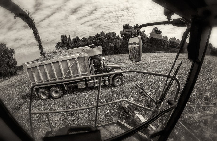 mathis_corn silage_2017_01