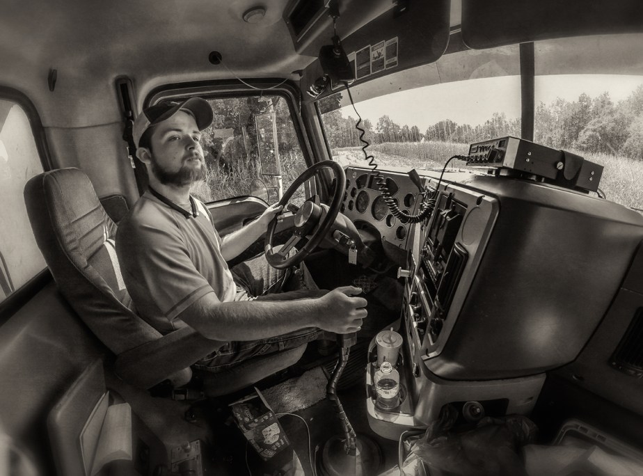 mathis_corn silage_2017_03