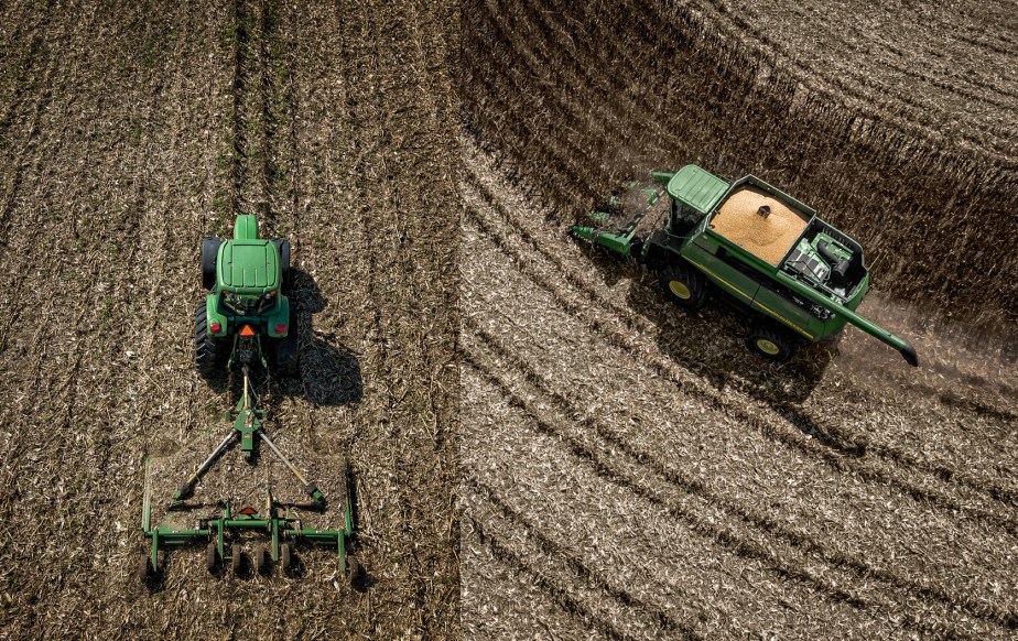 joe capps_corn_group_03