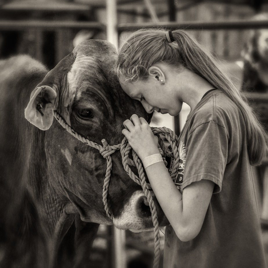 silk hope_farm day_06