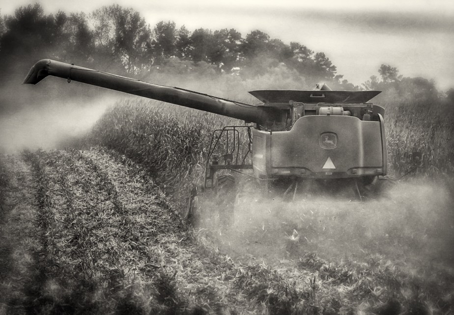 corn combine_new hope_bw