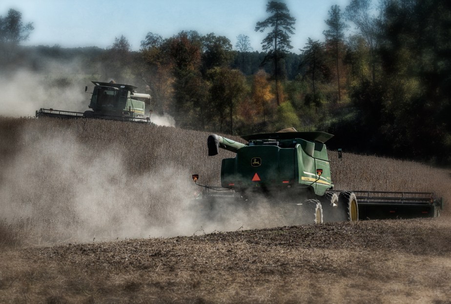 hopkins farm_soybeans_10