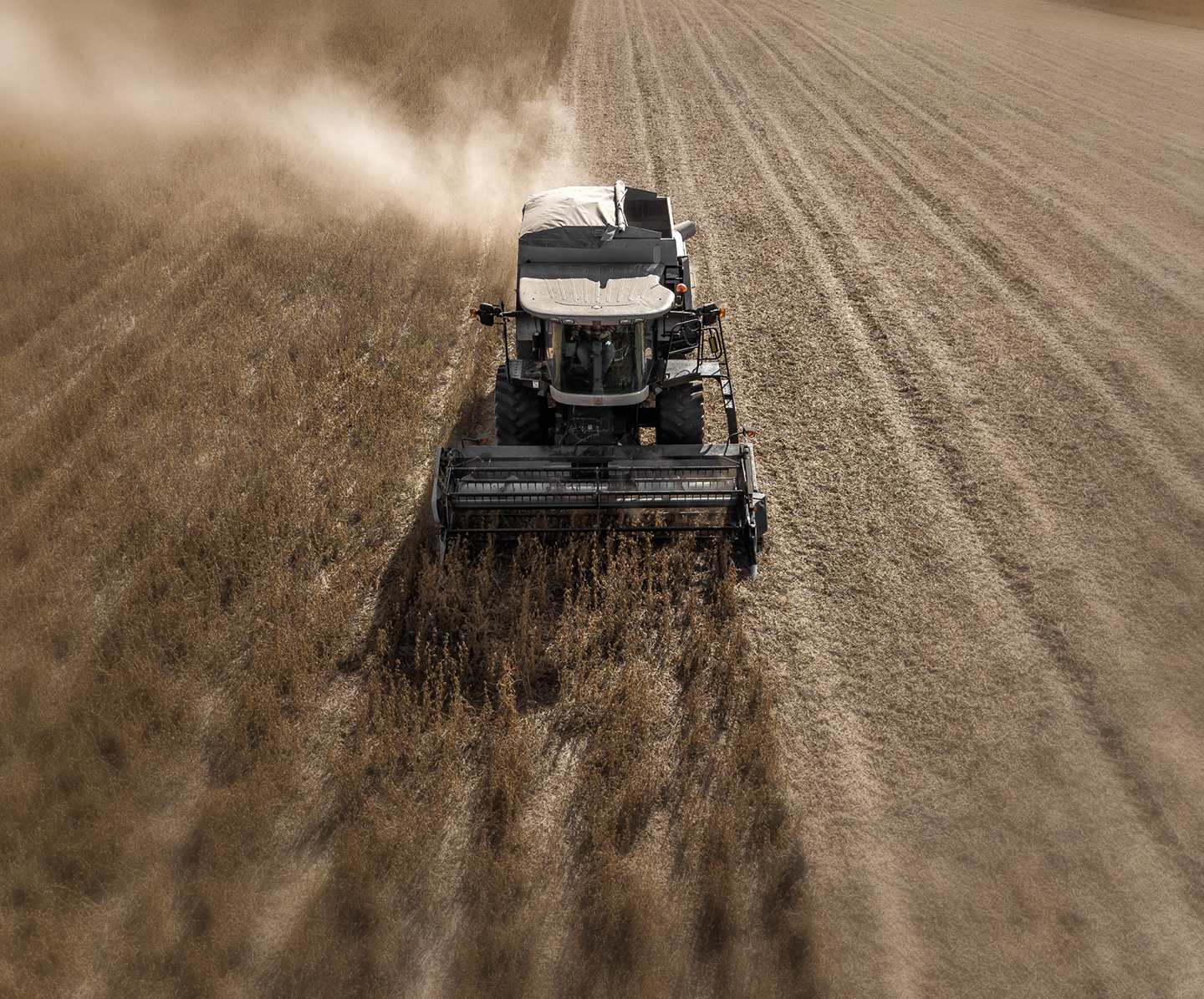 beeson_soybeans_2017_drone_03
