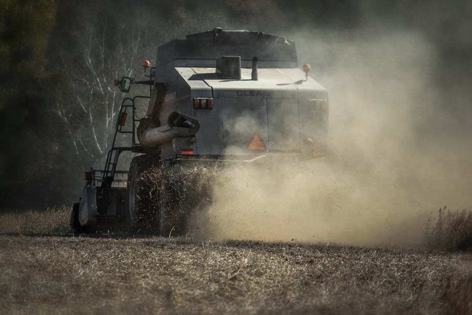 beeson_soybeans_2017_dust