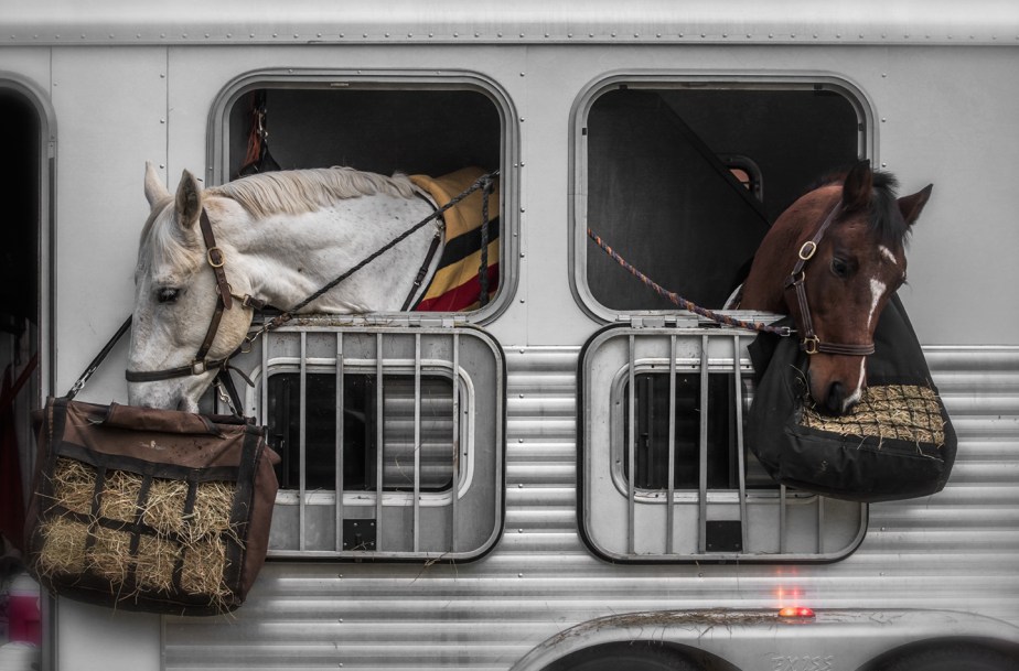 sedgefield hunt_2017_04