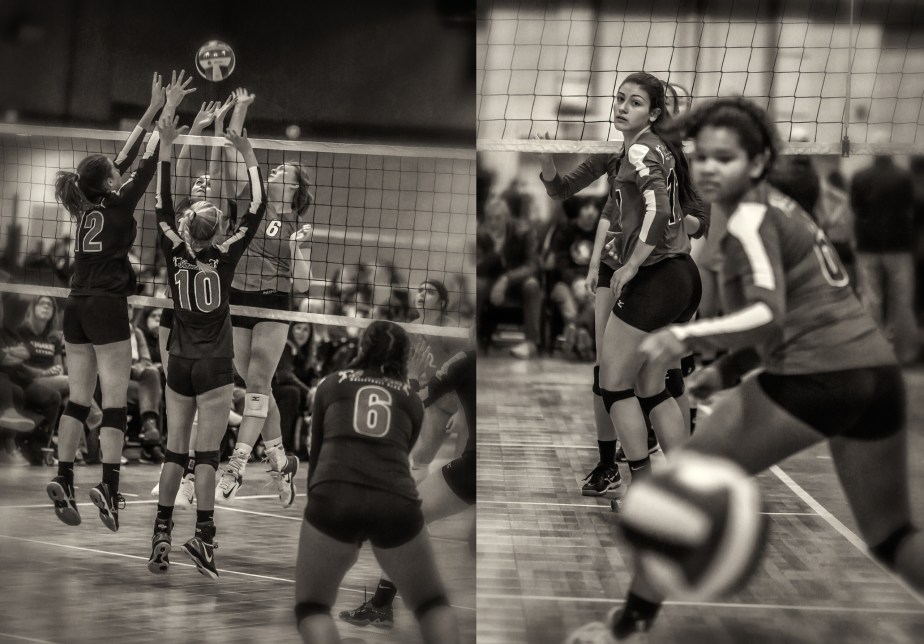 gso_volleyball_group_04