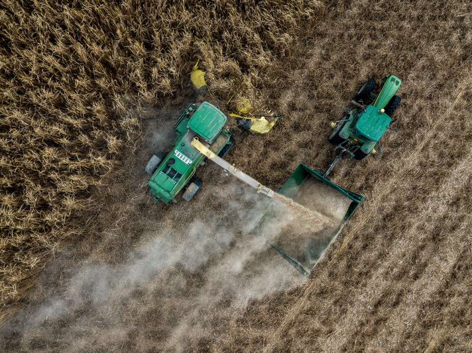 miscanthus grass harvest_drone_01.jpg
