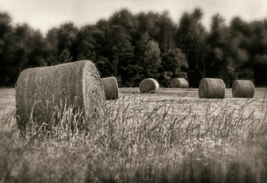 round bales