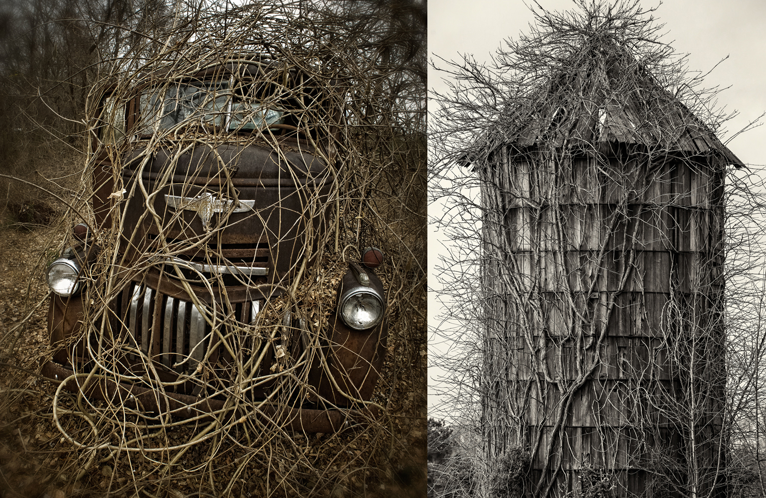 winter_truck_silo_vines