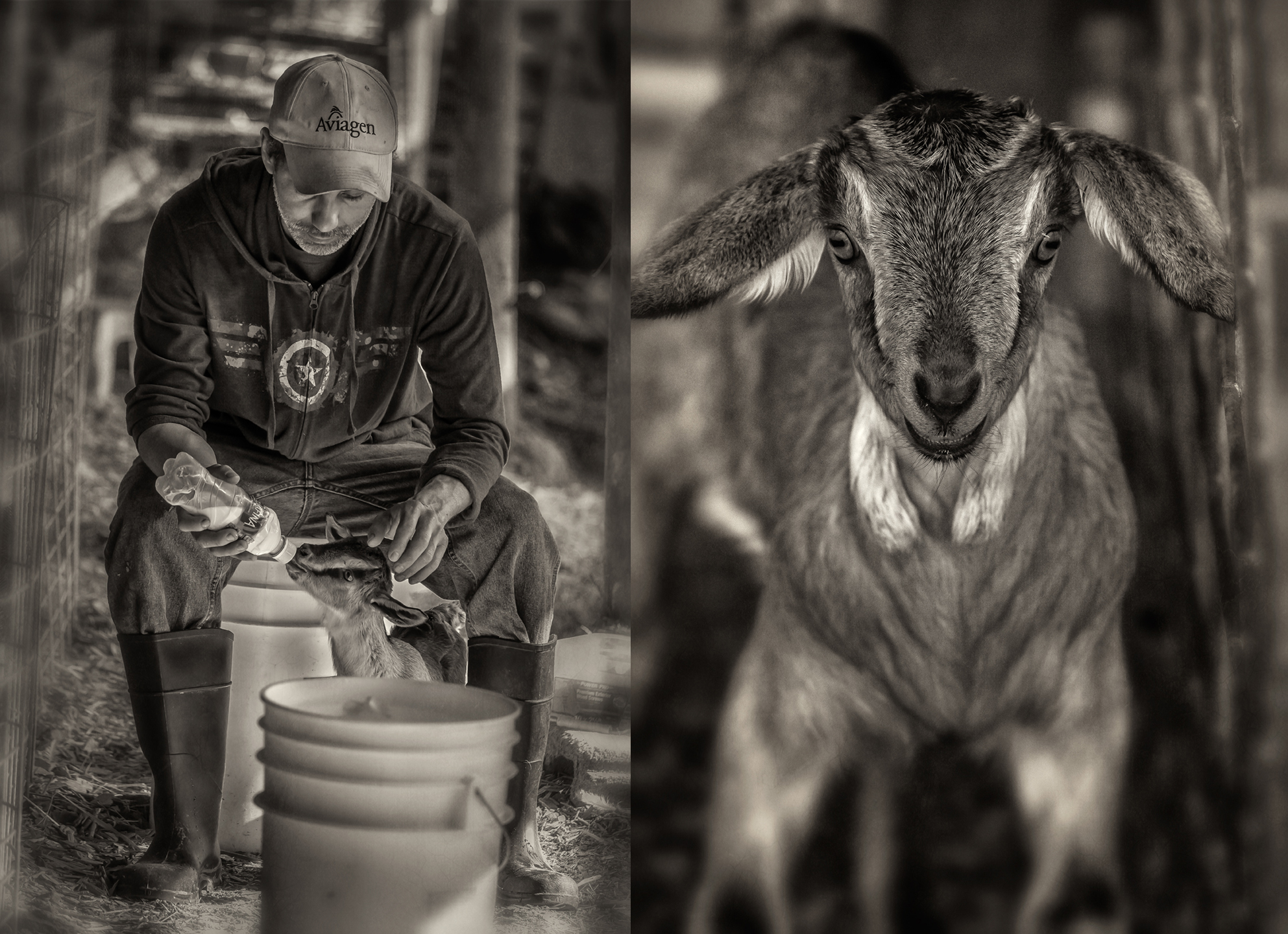 lindale dairy_2018_group_03