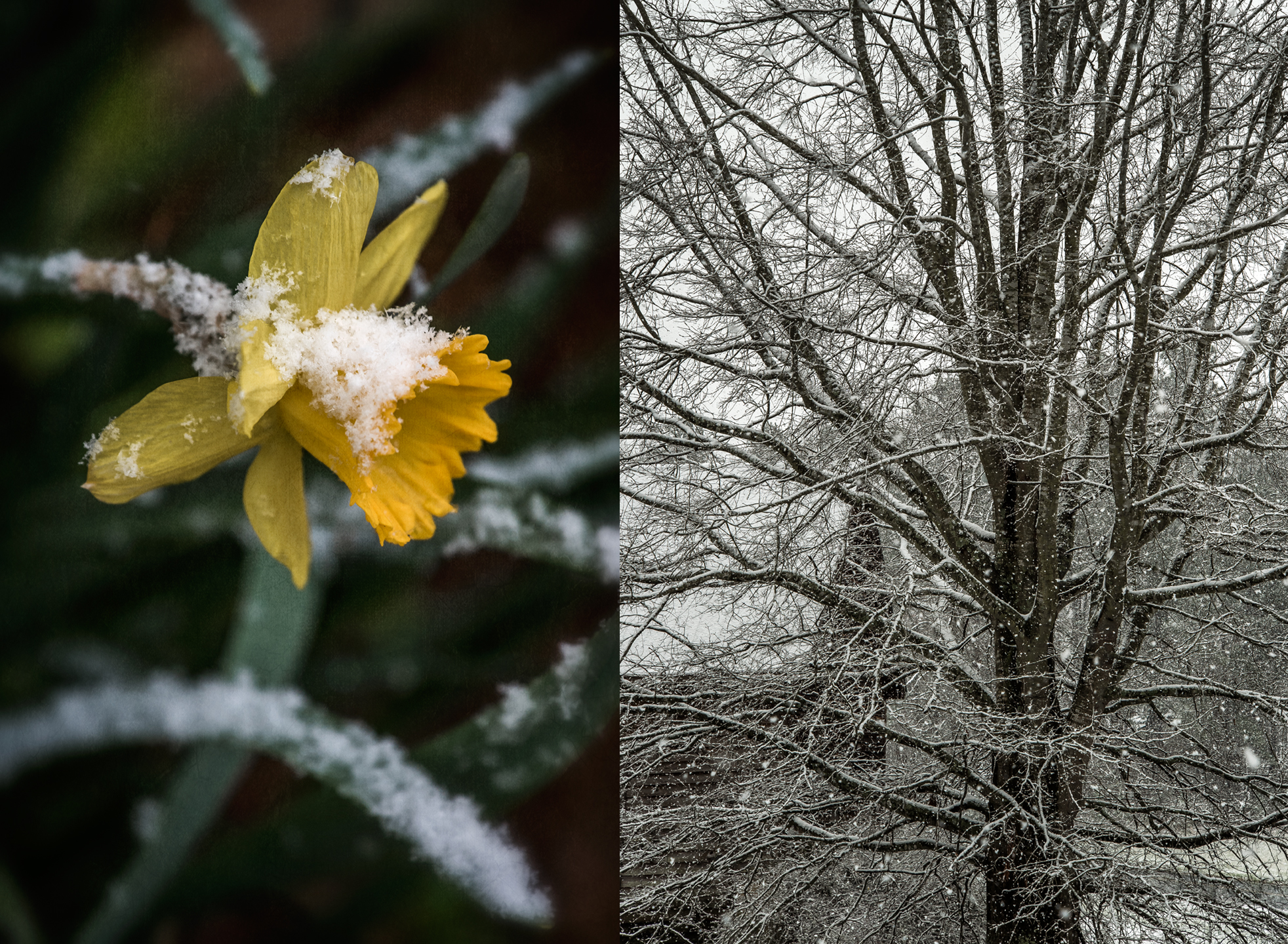 spring_2018_snow_group