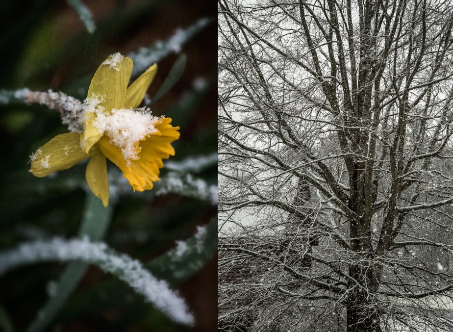 spring_2018_snow_group