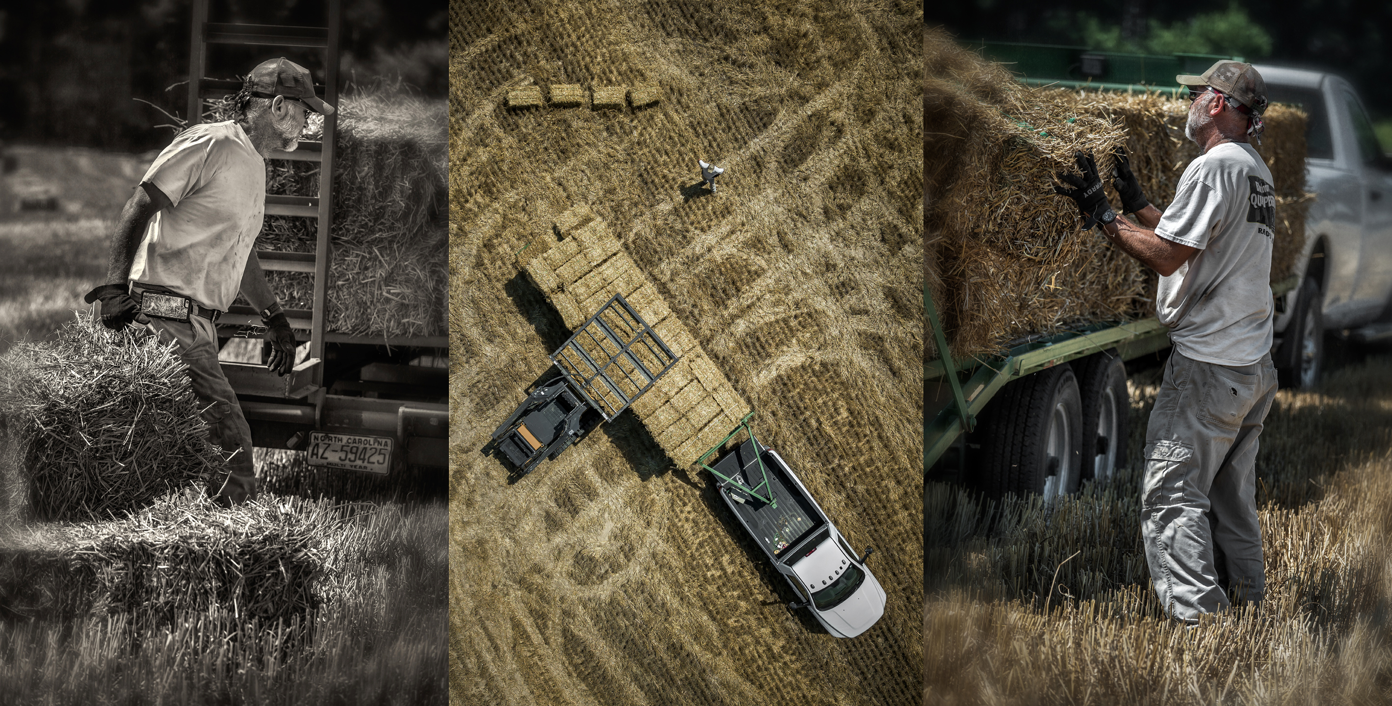 capps_straw_2018_group_01