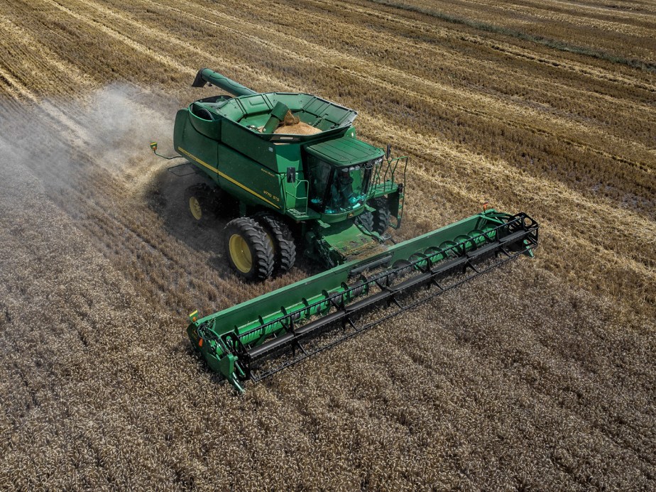 hopkins_combining wheat_04