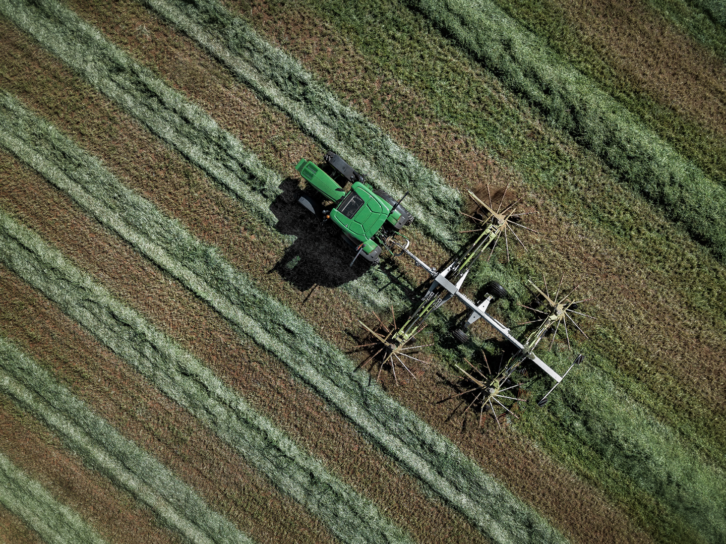 mathis_raking small grain_02