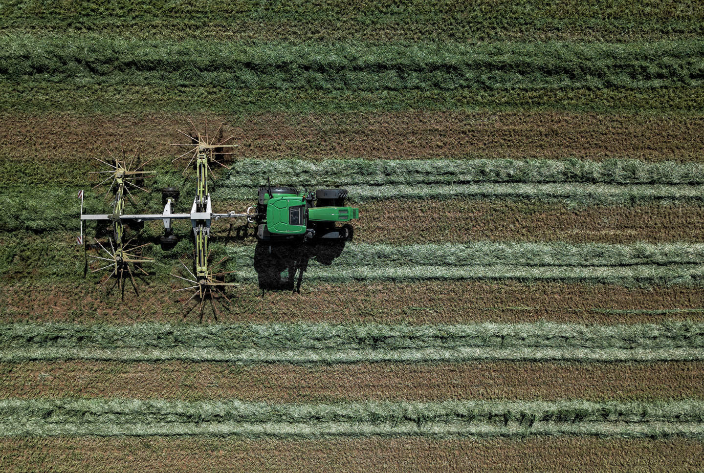 mathis_raking small grain_03