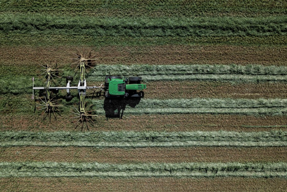 mathis_raking small grain_03