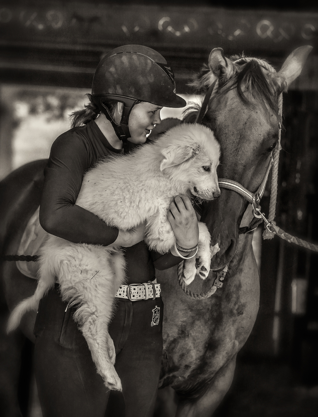 providence farm_july18_02