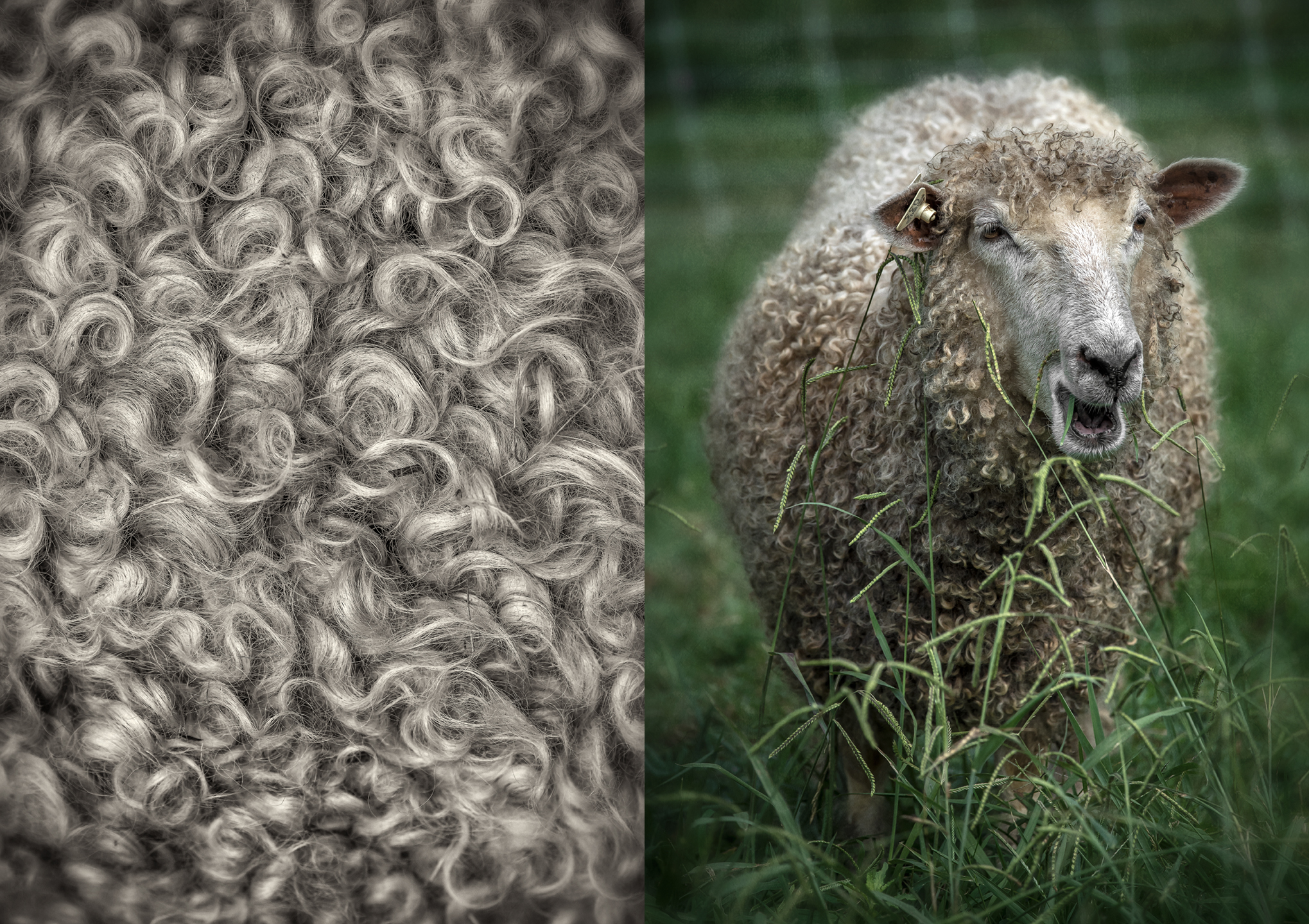 providence farm_july18_group_01