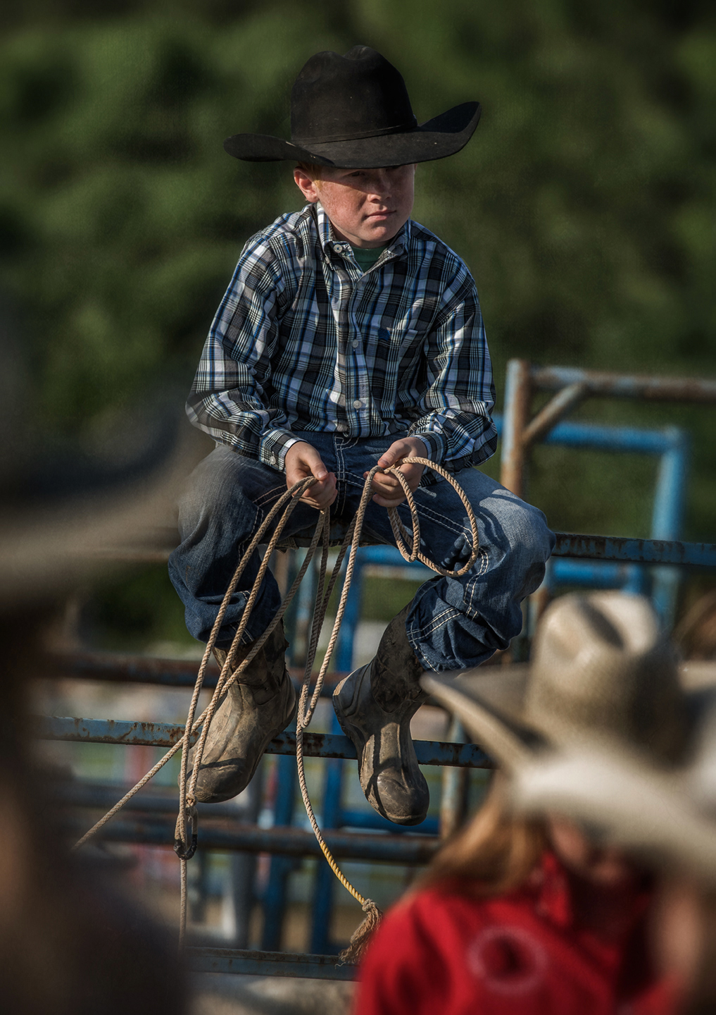 young roper_02_color