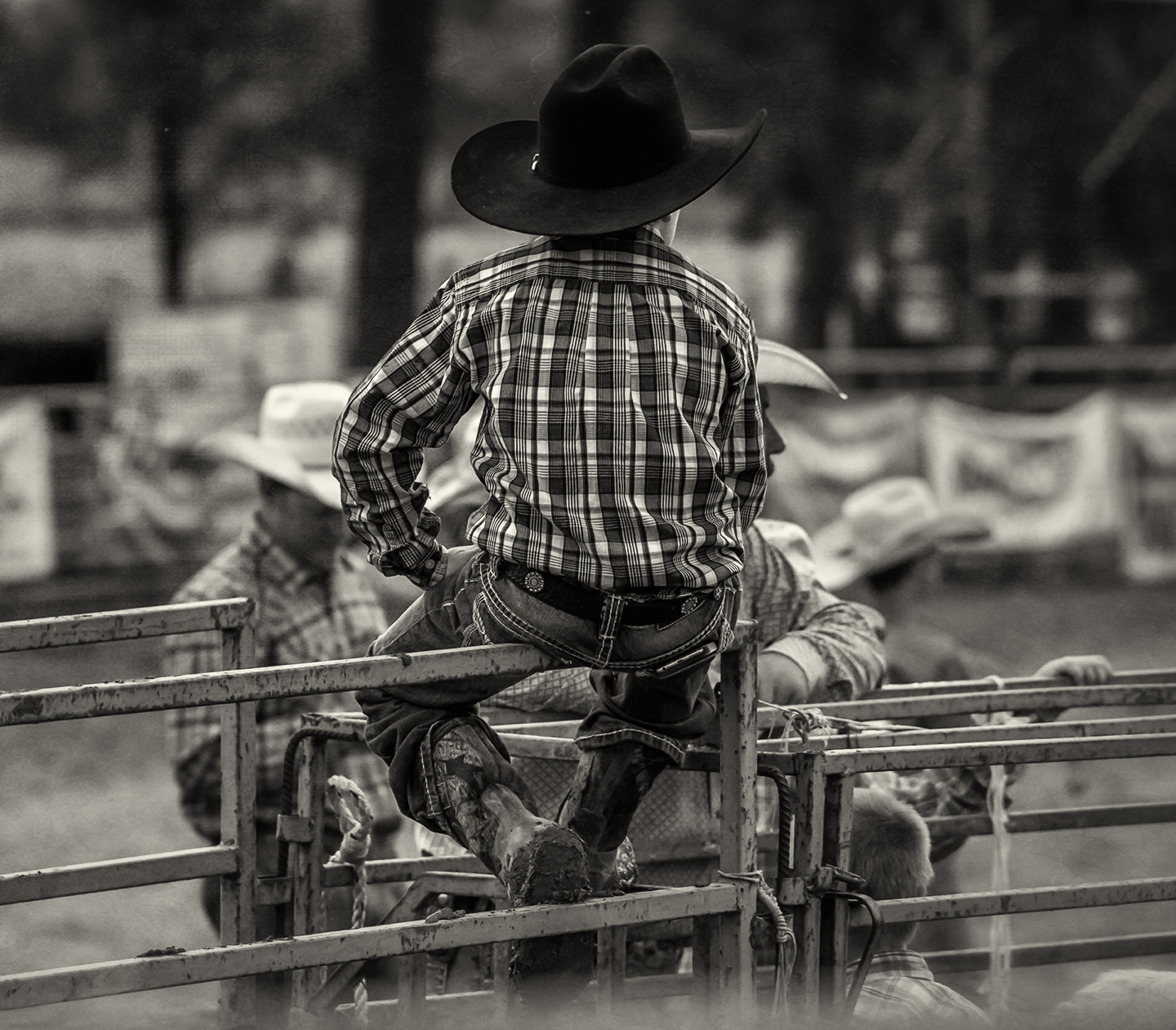 rodeo_ lil cowboy_back_bw