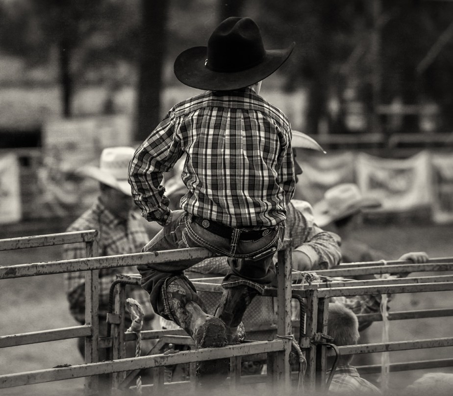 rodeo_ lil cowboy_back_bw