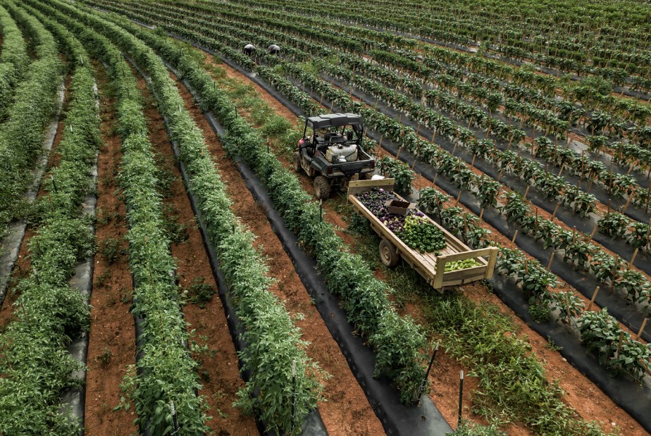 walker_picking_drone_08