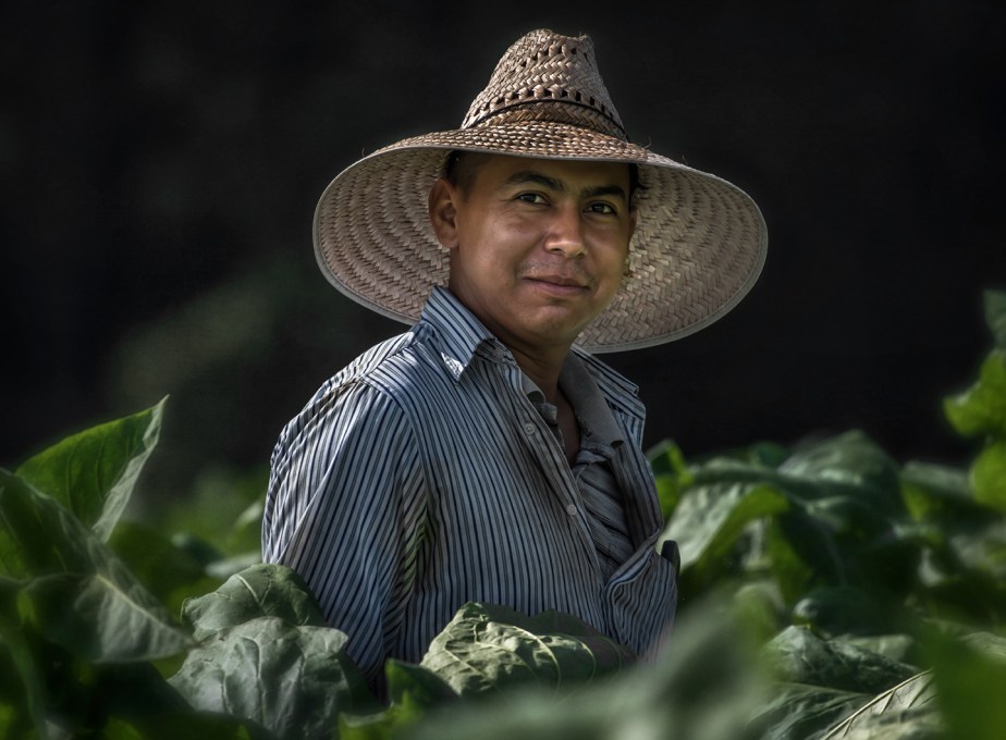 whitaker_080918_tobacco_03