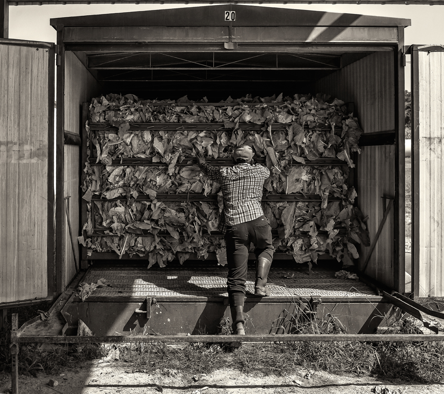 whitaker_tobacco barn_082818_08