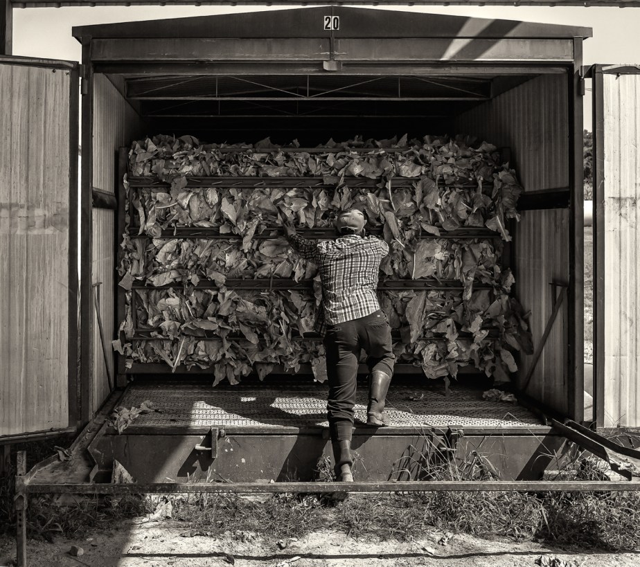 whitaker_tobacco barn_082818_08