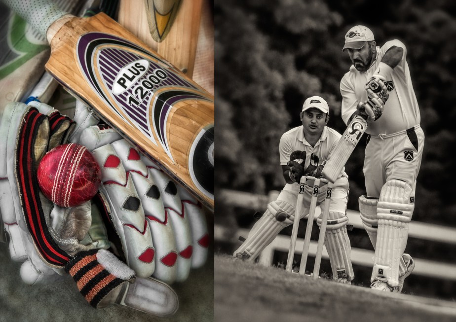 climax nc_cricket_group_01