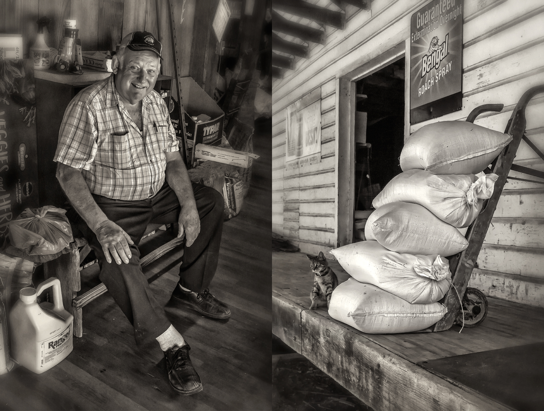 jimmy horney_bench_cat_group