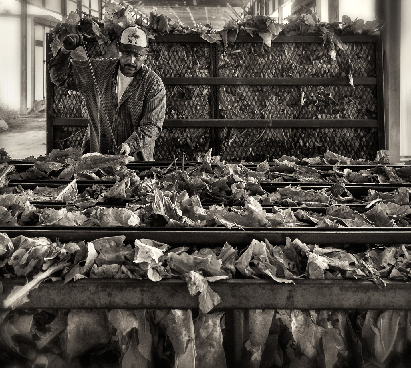 whitaker_tobacco barn_082818