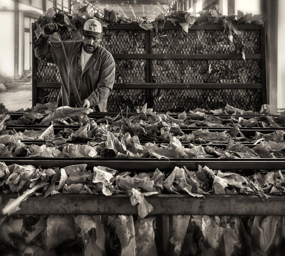 whitaker_tobacco barn_082818