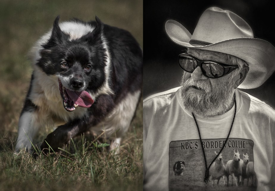 border collie_trainer_2018_group