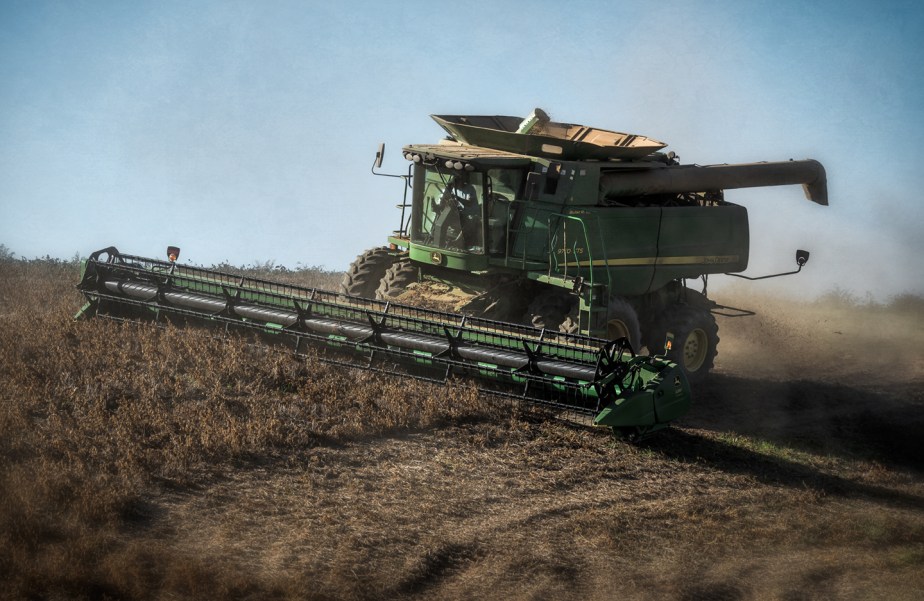 hopkins_2018_soybeans_01