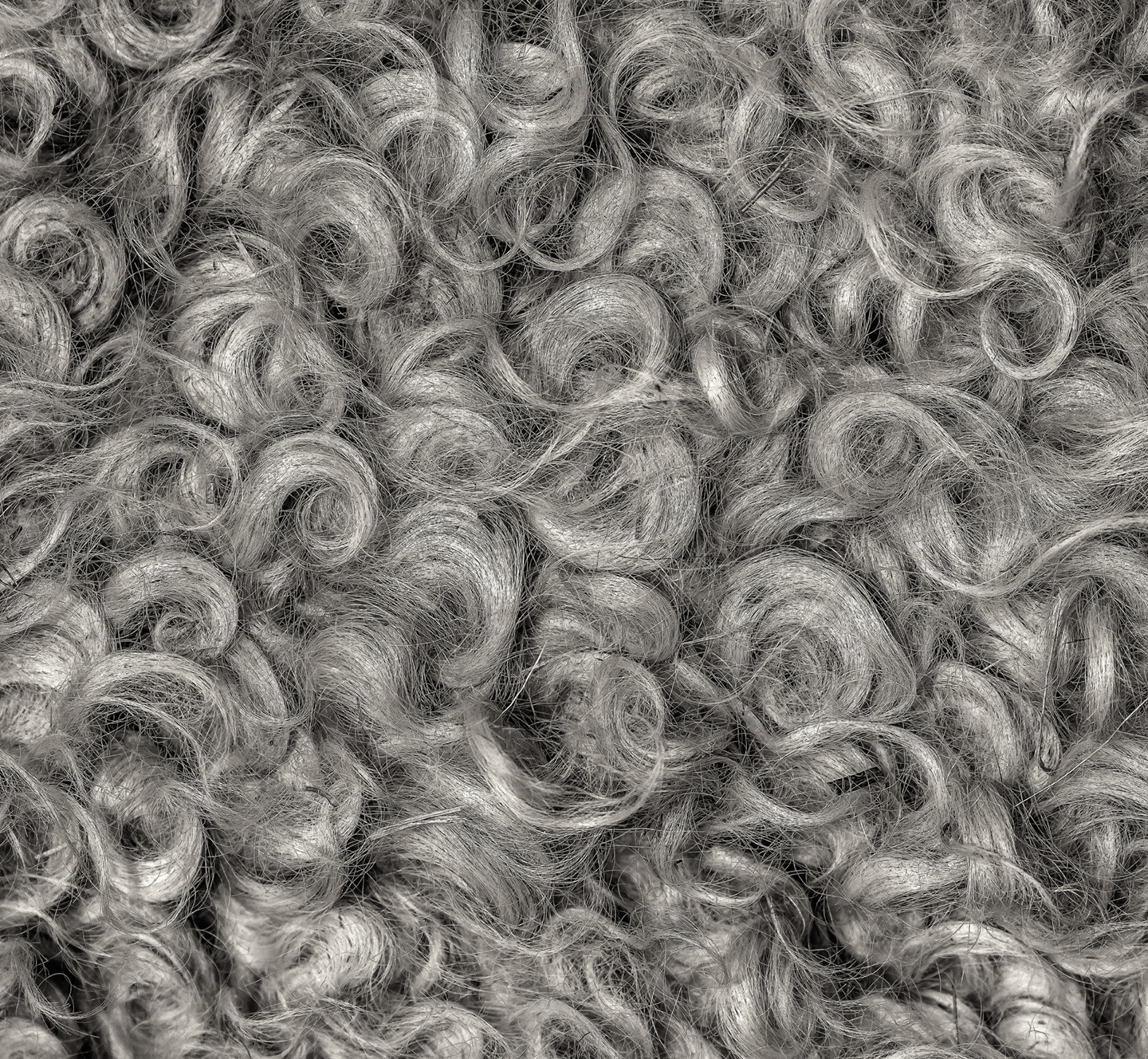 providence farm_leicester fleece