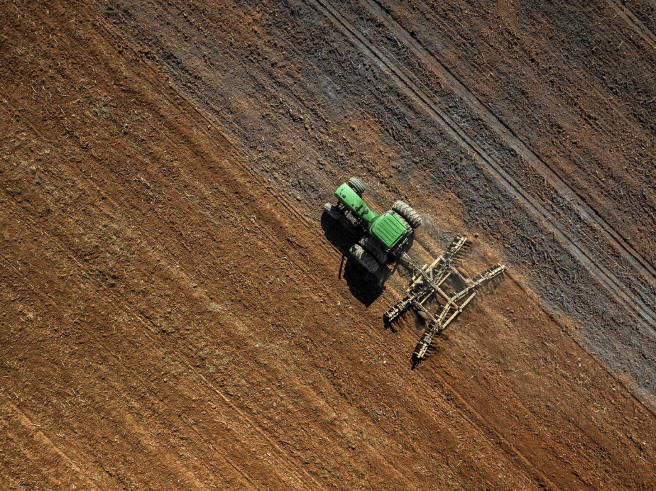 williams_planting barley_08