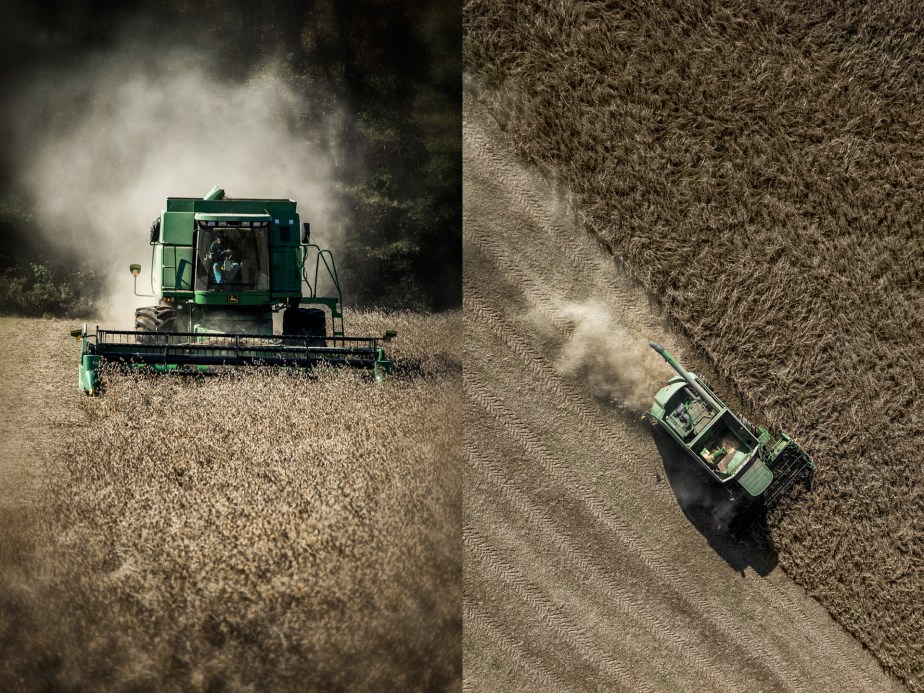 capps_2018_soybeans_group_01