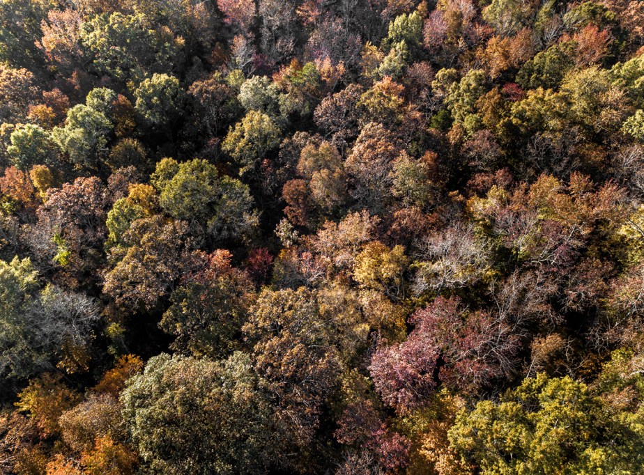 fall leaves_grays chapel_drone_03
