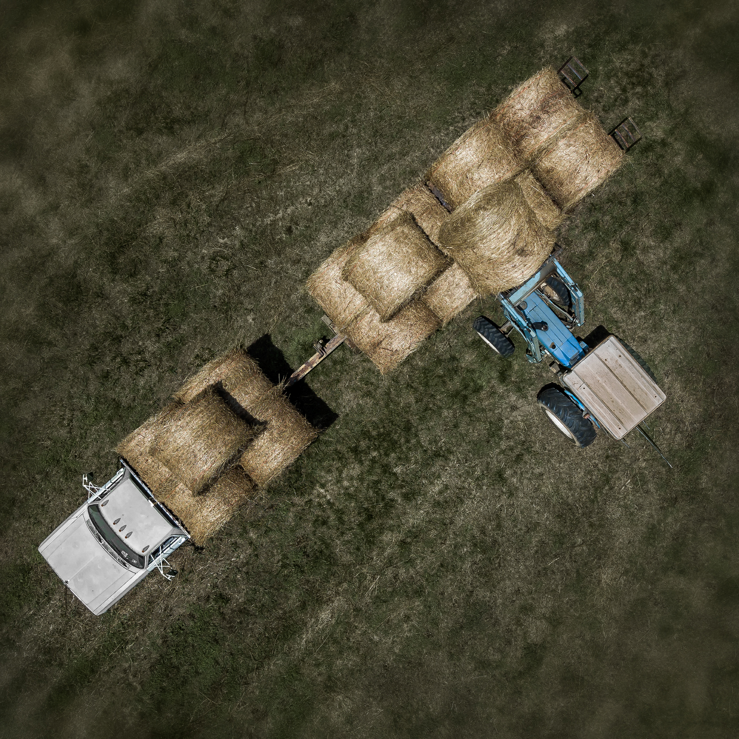 Rango Loading Hay Loading Hay – Dan Routh Photography